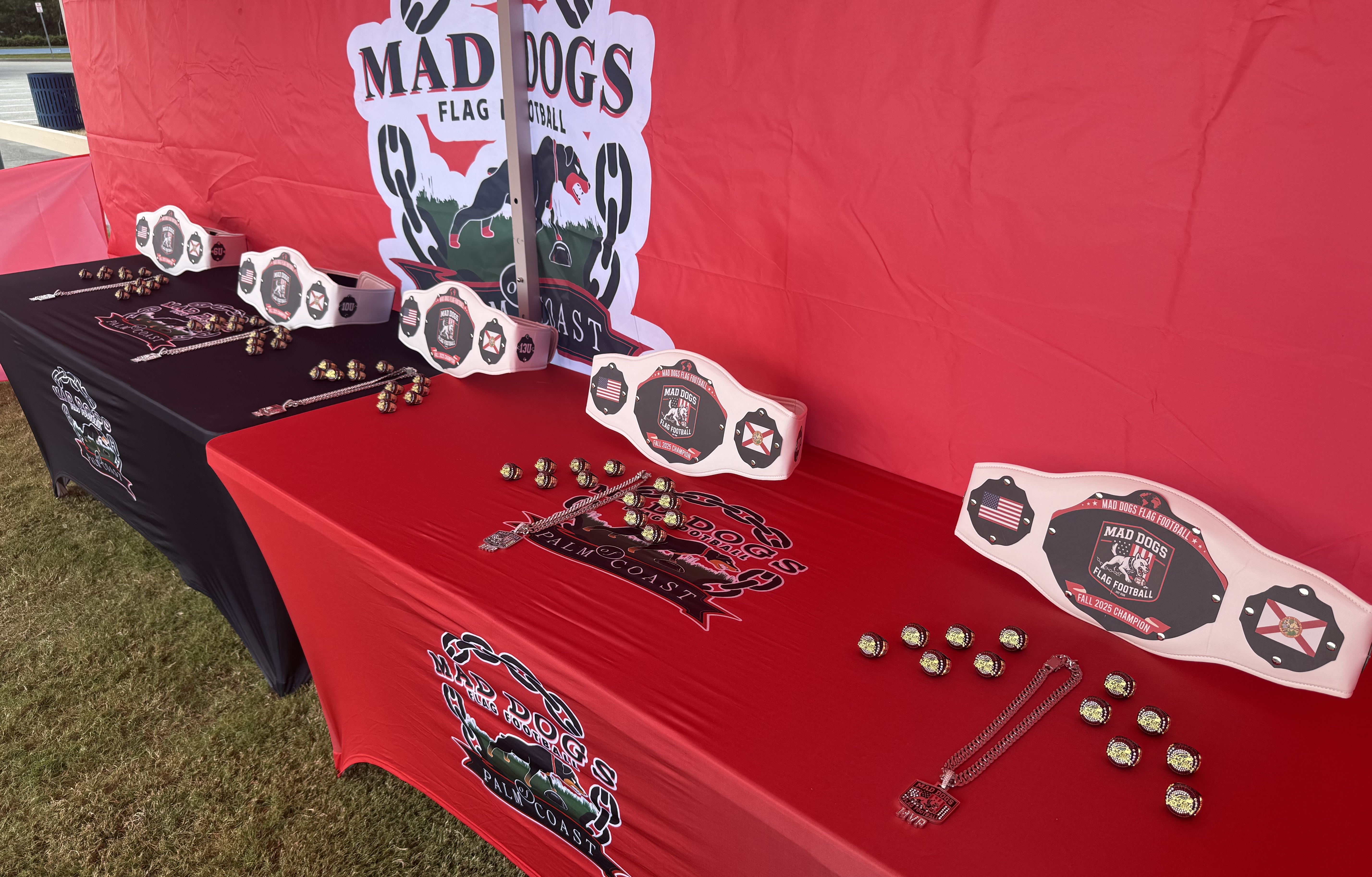 Youth flag football action shot